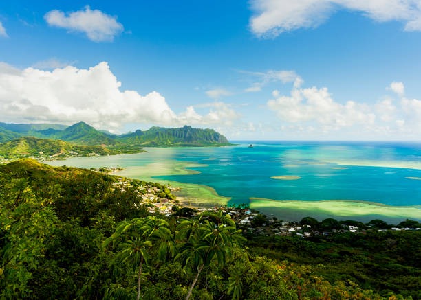 Kaneohe Bay Sandbar A Complete Travel Experience Guide