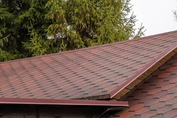 Prevent Expensive Roofing Repairs with Consistent Maintenance Checks