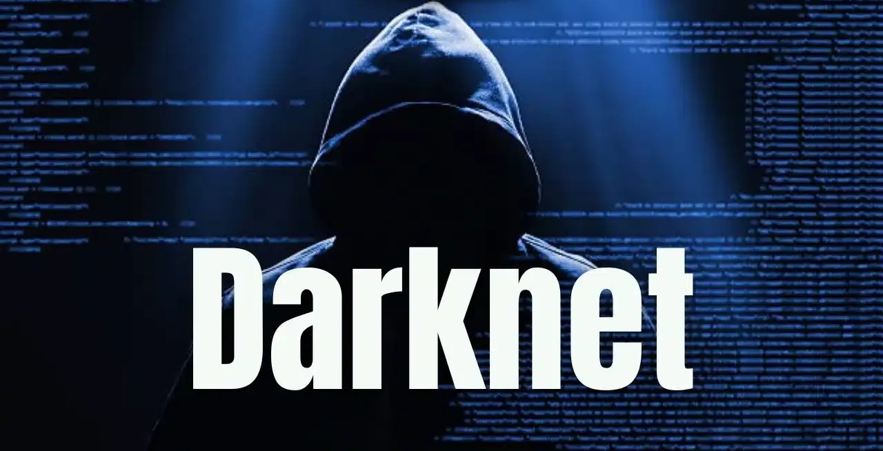 Stay Updated on Darknet Network Status with Tor Statistics